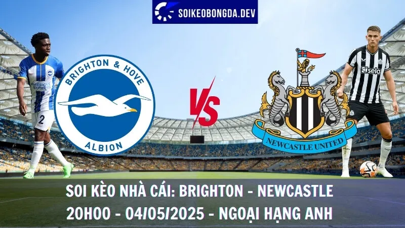 Soi Kèo Nhà Cái Brighton vs Newcastle - 04/05/2025 - Ngoại Hạng Anh